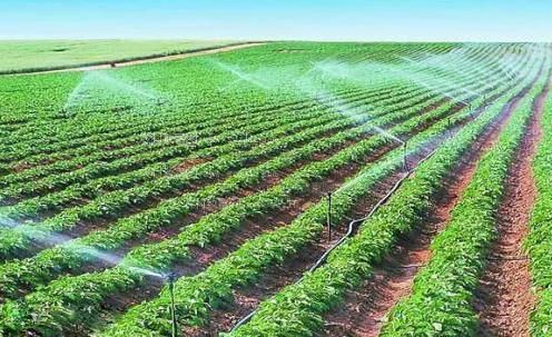找出国产黄色片子操逼说东北话嗷嗷叫农田高 效节水灌溉